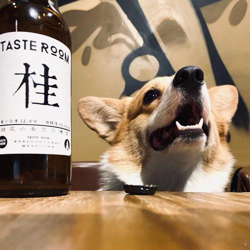 今天都是局，停更