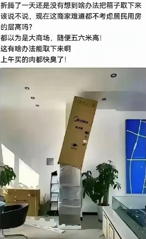 这智商基本就告别冰箱了