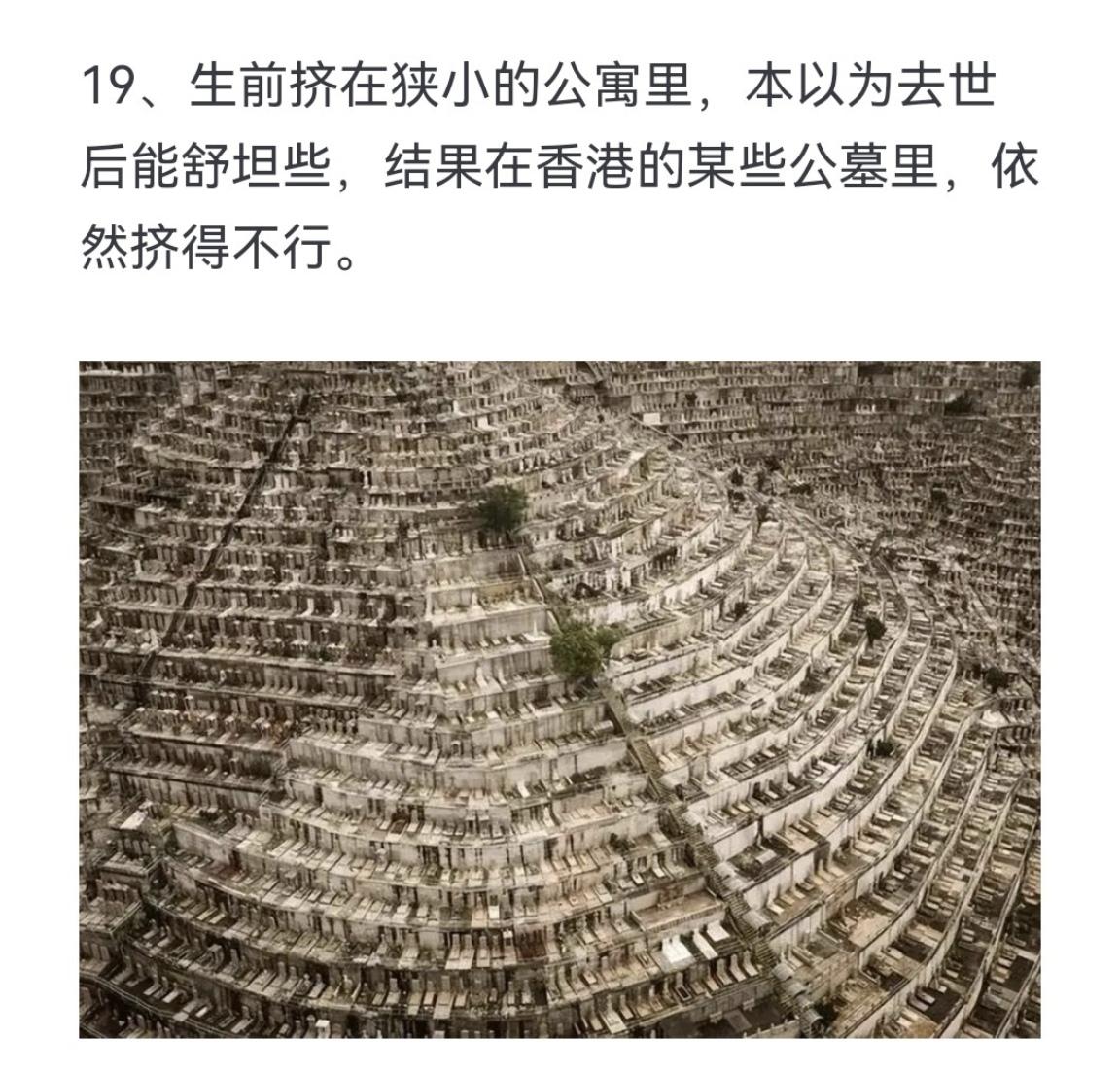 生前挤在狭小的公寓里 本以为去世后能舒坦些 结果呢