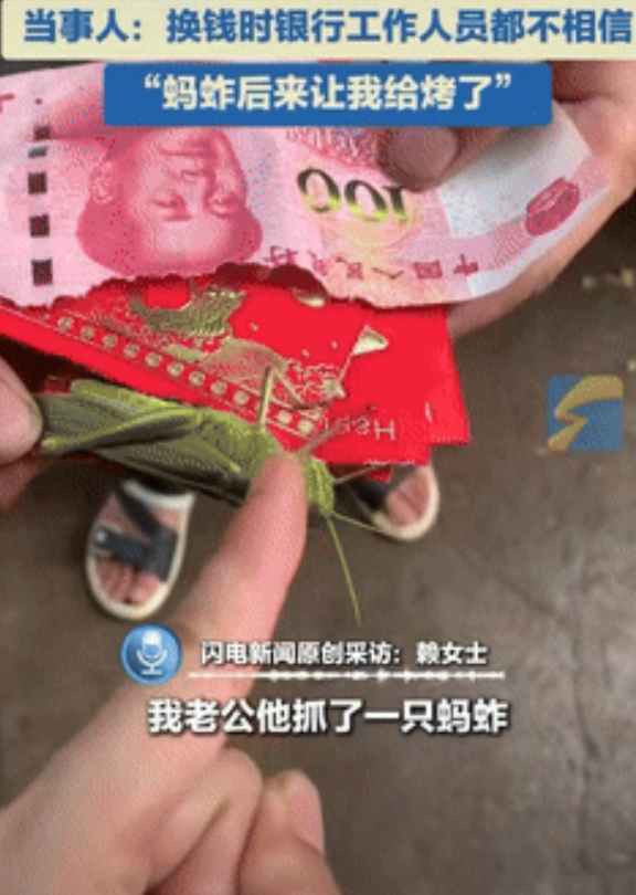“手欠的下场！”湖南永州，一对夫妻闲着无聊抓了蚂蚱放在了车里的扶手箱里，不料下车