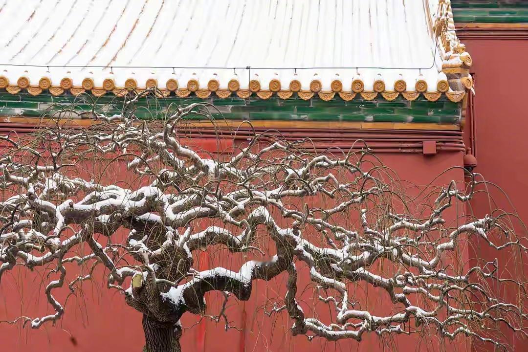 北京下雪北京的名胜古迹多，历史底蕴厚，一到下雪天的时候，往往最美。故宫、天坛
