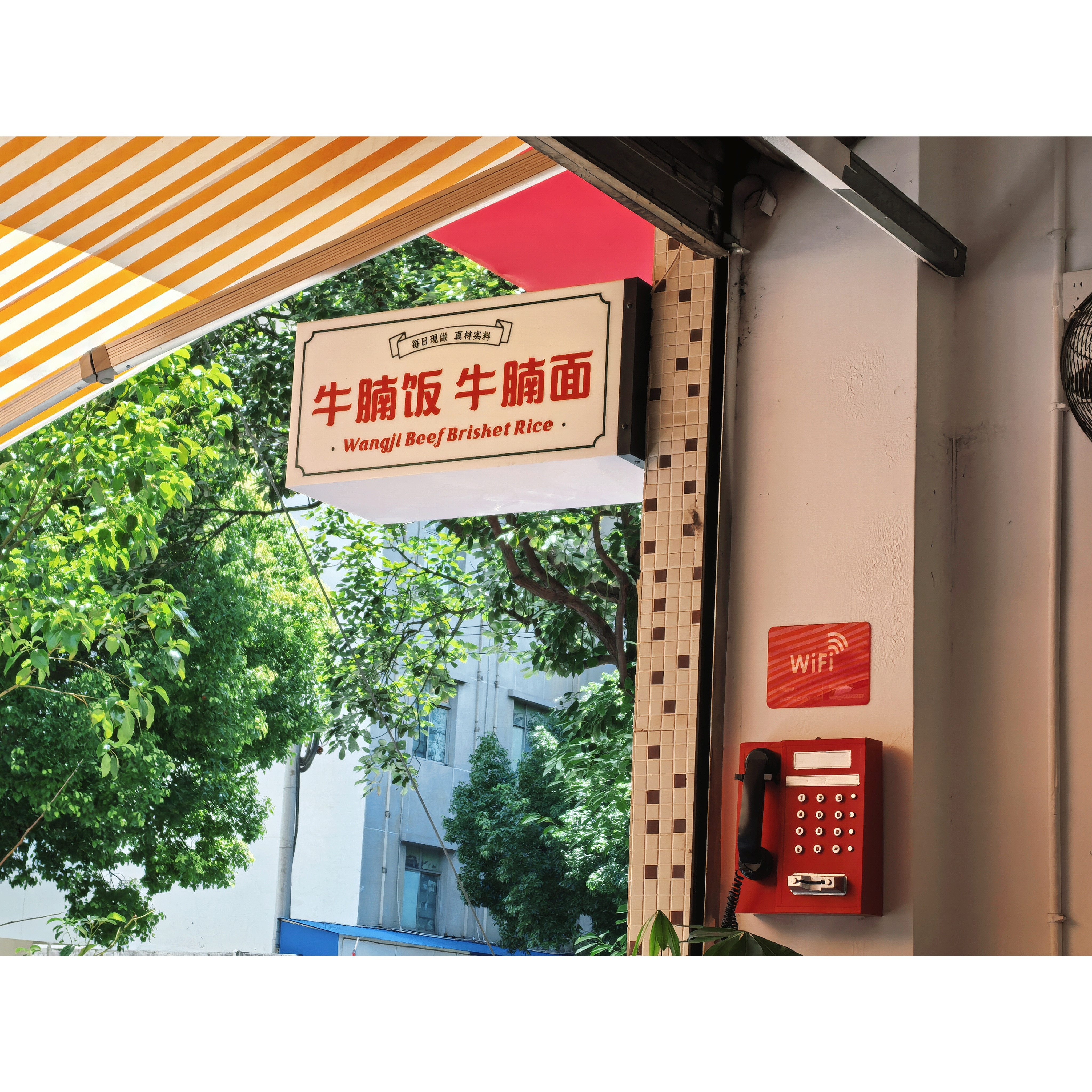 就是玩儿狗子叫“咖啡豆儿”今天这个天气可以看日落🌇哦凉山