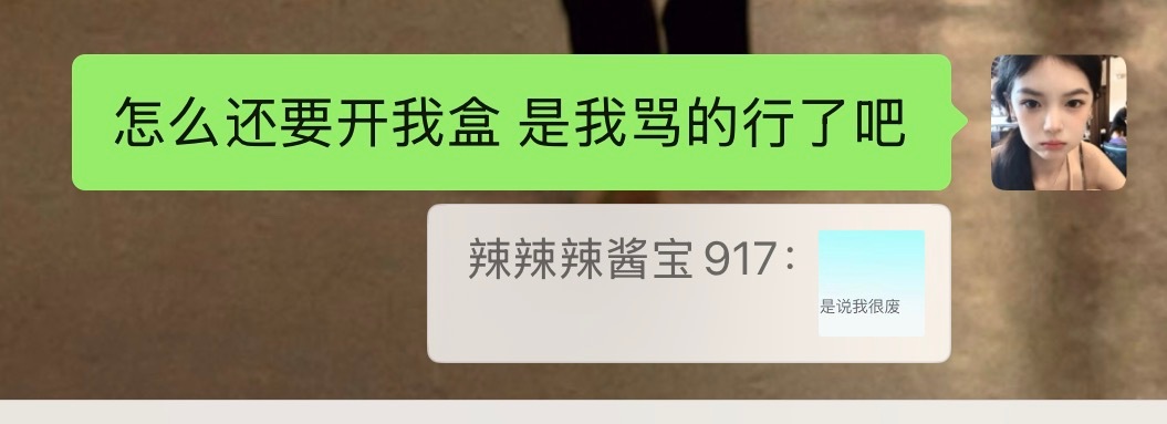 什么意思