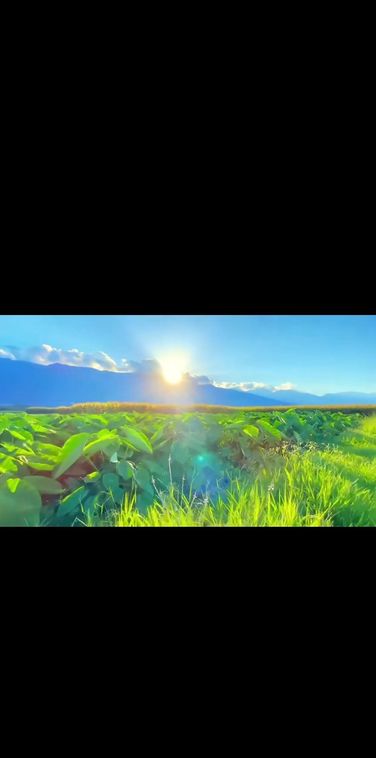 如果在县城，处级领导是县里最大的领导了。而普通人如果能当个副科级的局长，在县里也