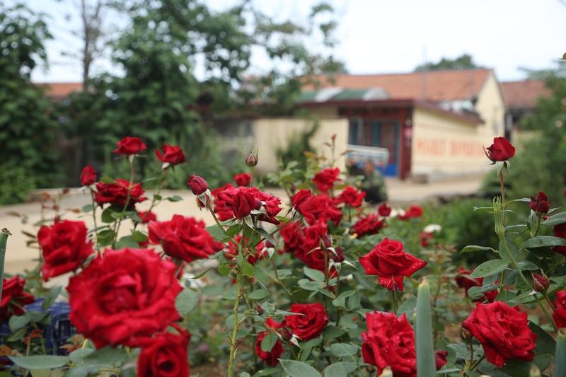 做一个善良的人当然对！善良是对生命的敬意，就像赠人玫瑰，手留余香。与人和善，于己