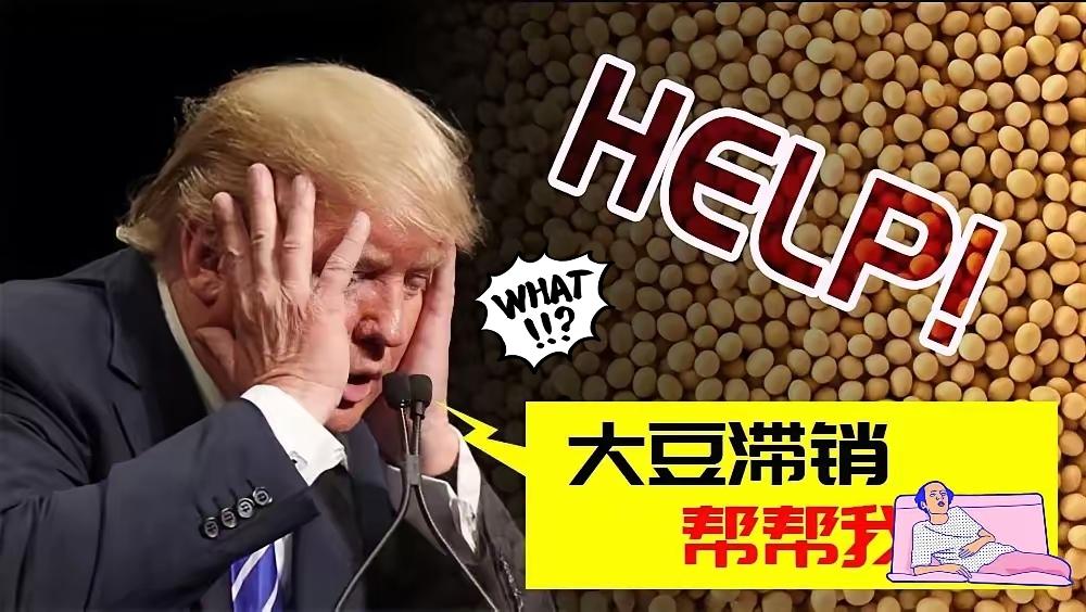快报！快报！特朗普又出来“放炮”了！前几天，他在接受媒体采访时表示，如果