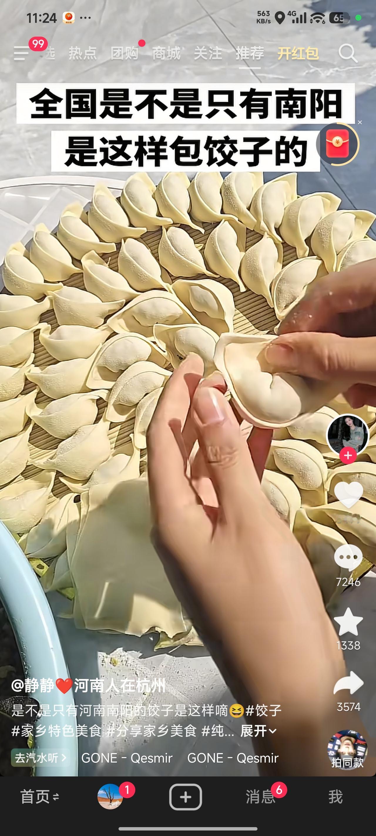 外婆来自淅川，奶奶则是镇平人，我发现她们包饺子的方式大不相同。外婆包的饺子呈圆叶