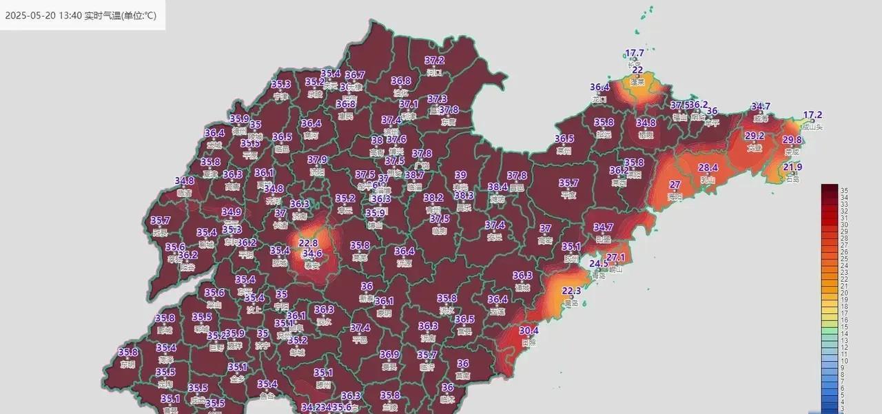 青岛的夏天确实凉快，济南夏天确实热。但问整个山东大部分都热啊，青岛偏喜欢蛐蛐济南
