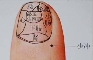 每个指甲上的月牙对应的器官, 如果没有月牙就吃这些补回来