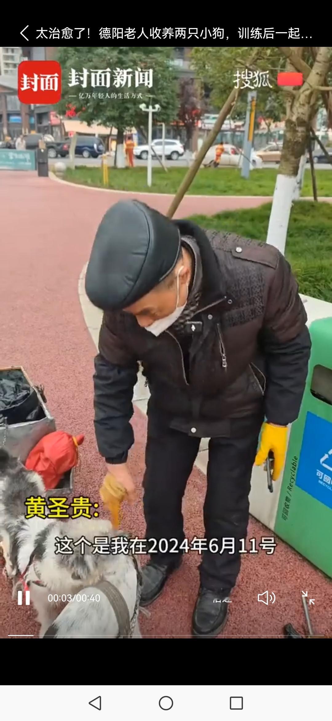太治愈了！德阳老人收养两只小狗，训练后一起拉车清理城市垃圾太治愈了！德阳老
