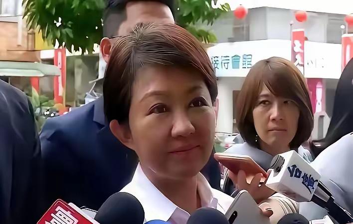 卢秀燕：你的"妈妈市长"还演不演了？陈挥文在节目里一句话问得很直接："妈妈的