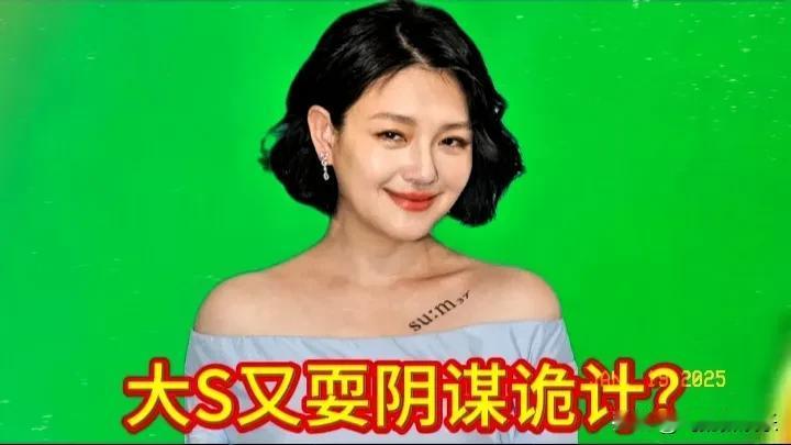 大S又耍什么阴谋诡计？元旦前，张兰女士和儿子儿媳妇回台北呆了