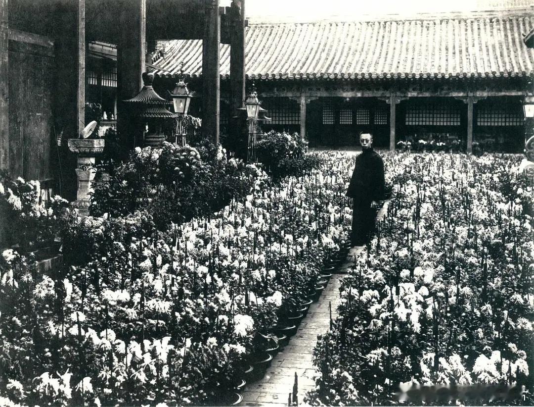 1922-1924年，溥仪在紫禁城的留影