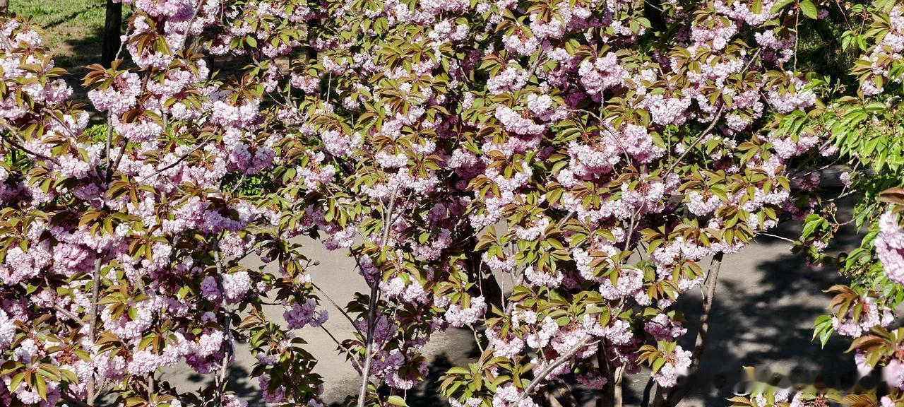 想了一年“辞职创业”，最后被一个修电脑的抢了先我有个朋友，在体制内干了五年，