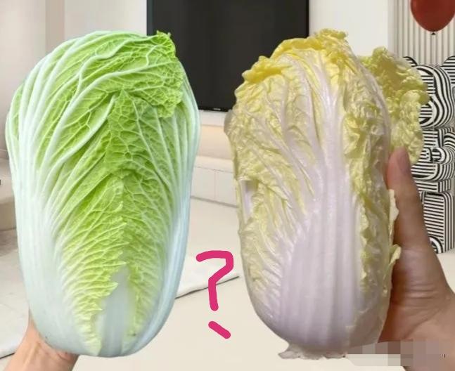 婆婆让我给她捎颗大白菜，我想着黄颜色的嫩对眼睛也好，买回去也没让她掏钱，可她怎么