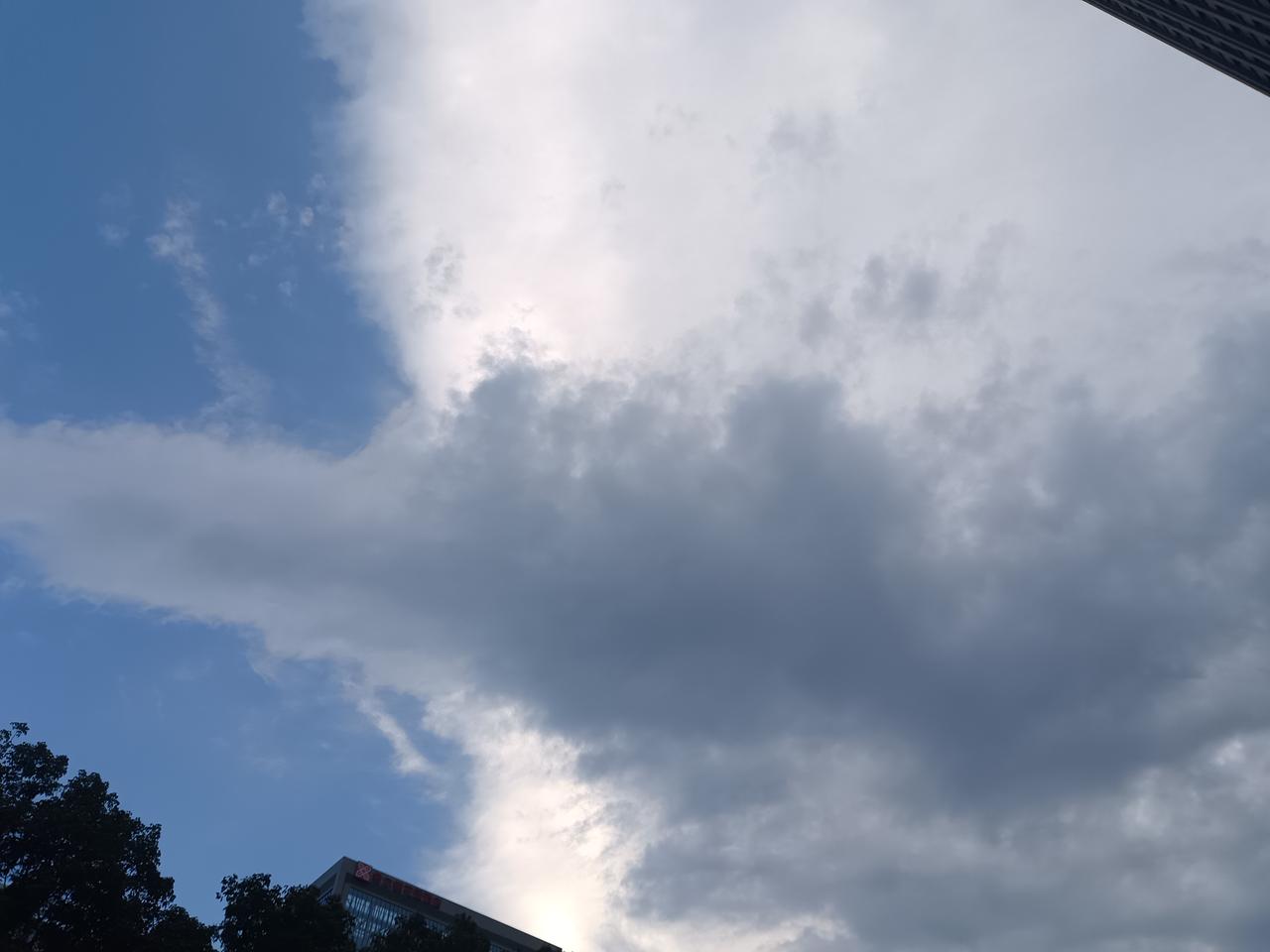 散户十不买，打败99%的人。1，亏损的不买。(不解释)2，市值低于15亿以下