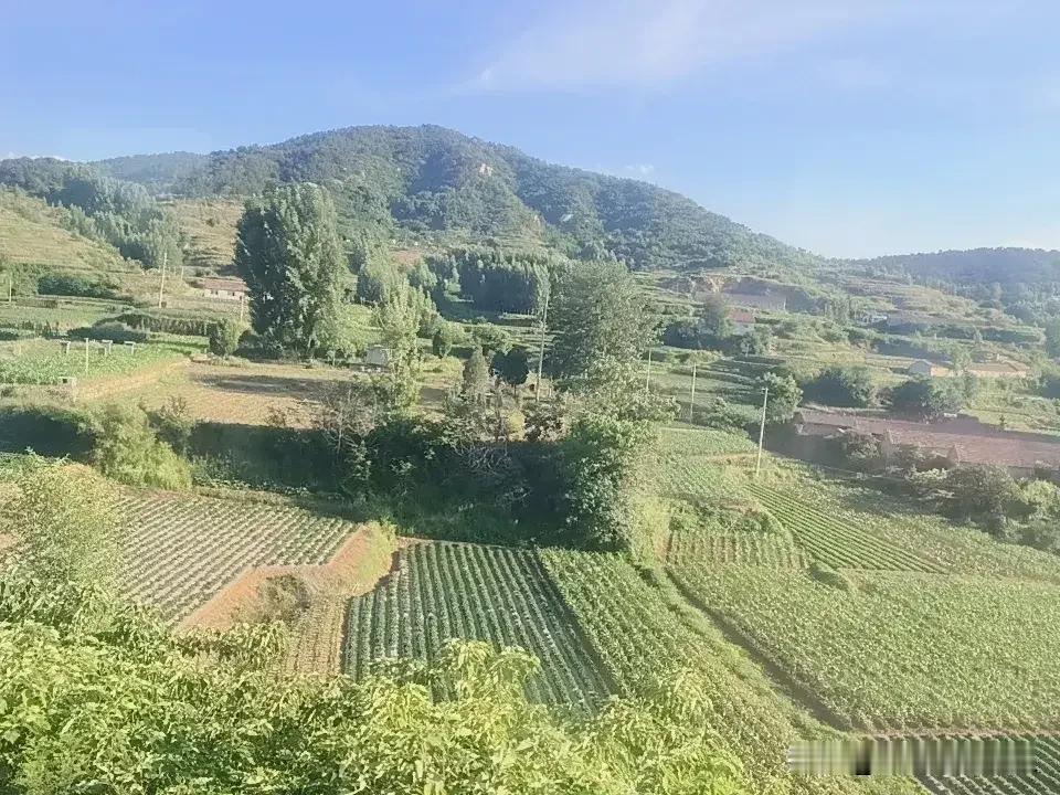 听济南的一个朋友说，莱芜市原常庄乡26个自然村现在在常庄幼儿园上学的就5个小孩了