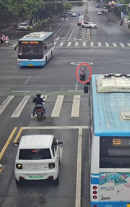 "国服孙策开大了？"近日，湖南益阳，在一处繁忙的十字路口，一辆白色轿车正在等红