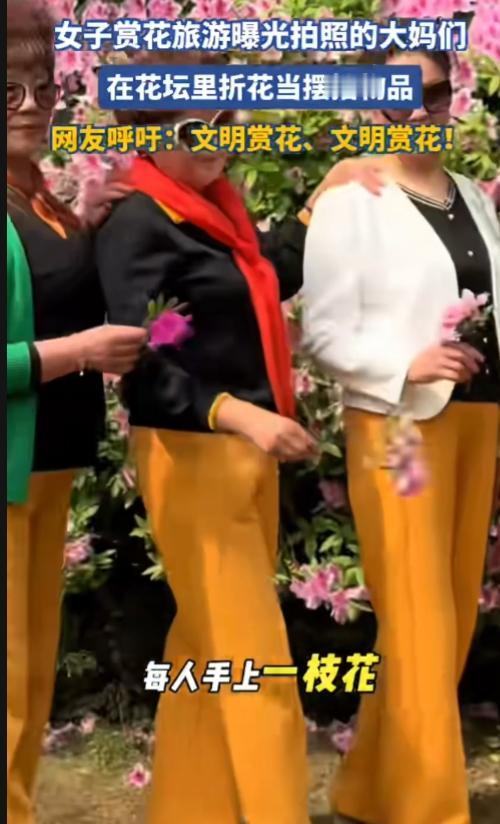 某地，拍照的大妈们在花坛里折花当摆拍物品，还人手一只。路人劝了，她们当耳旁风。看