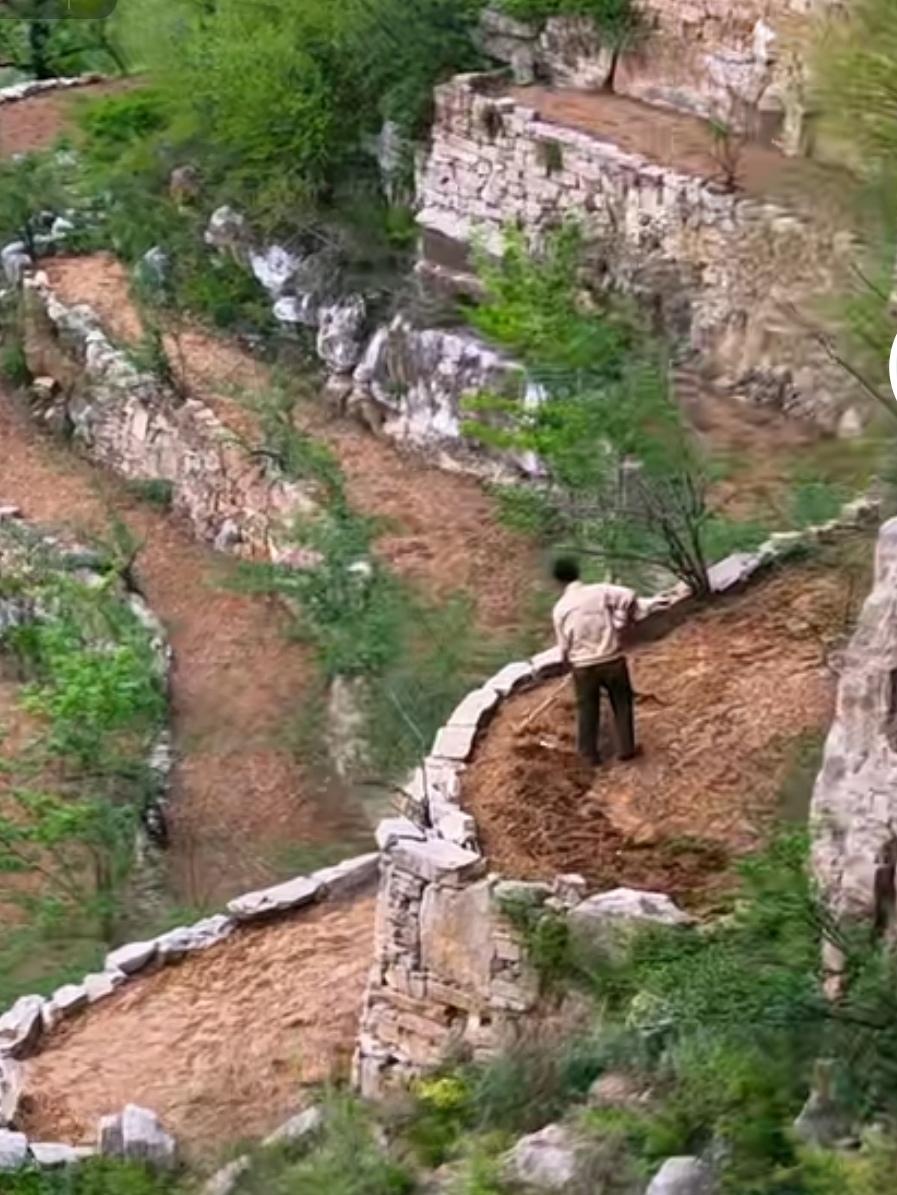 《七律～人夸隔句对七律》求知嵌字法黄花，讲学藏头格秀芽；角逐回文联俊彩，