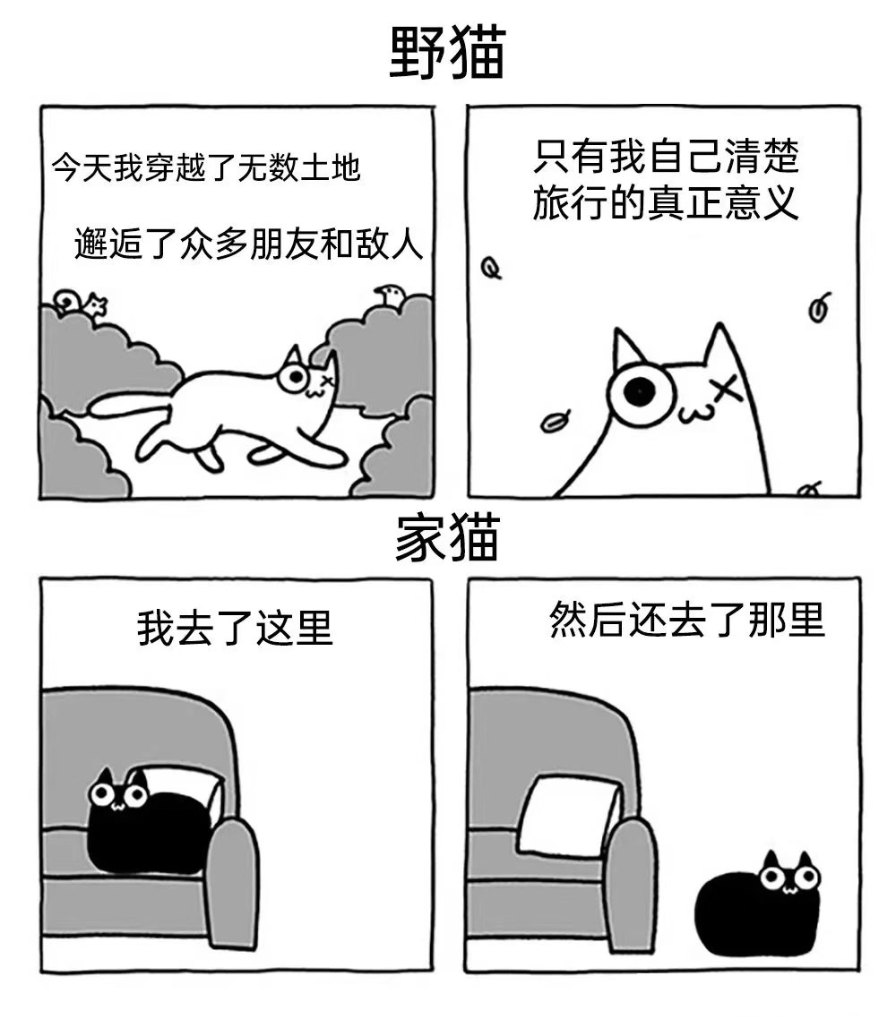 很不错了​​​