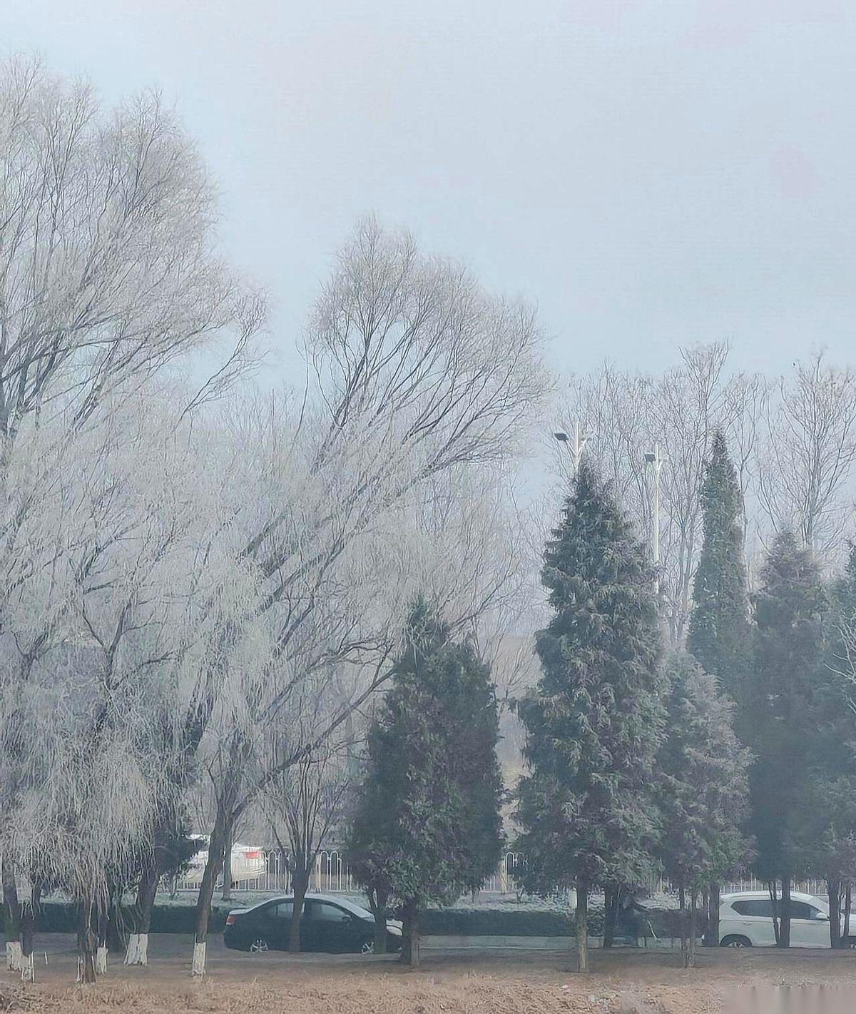 自从我把他当成合租的室友，只负责收房租（也就是他的工资卡），日子突然就顺了。真