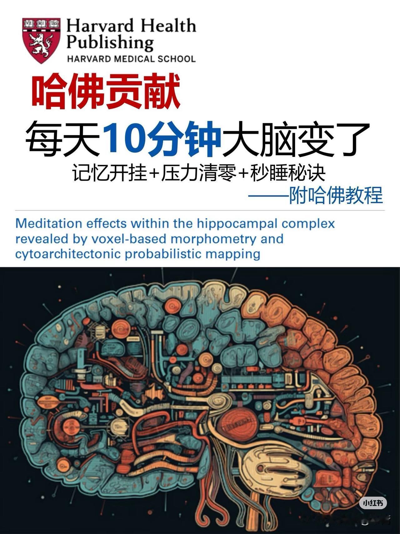 每天10分钟，冥想可以帮我们改变大脑结构！别再以为冥想只是“放松”了！哈佛医