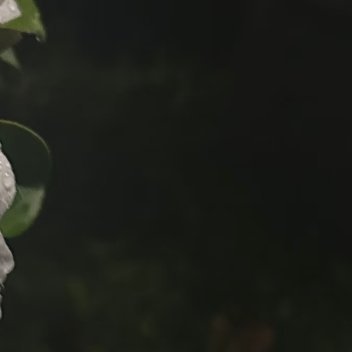 每日一善0000每日一善☁️阳光信用我们日行一善，并不是放下手中一切事情，