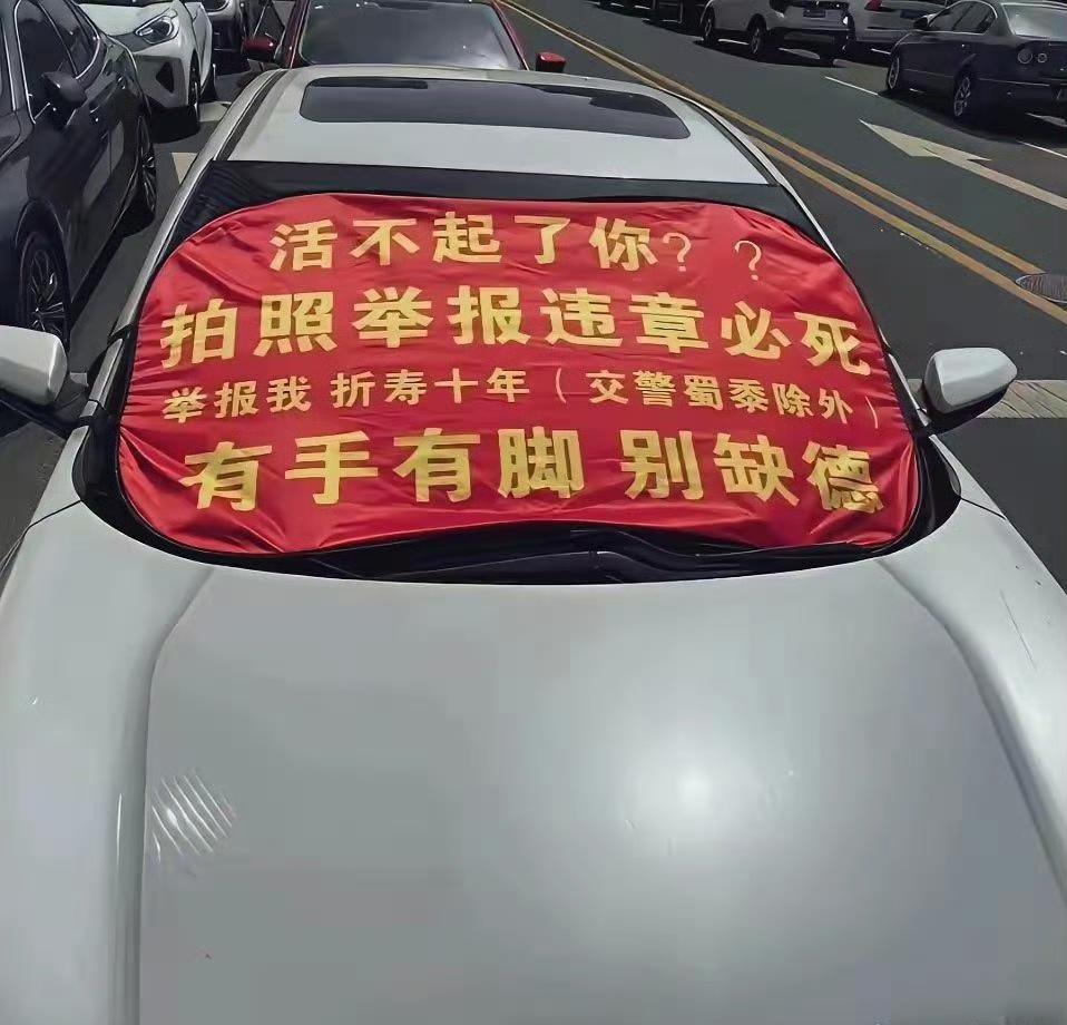 这种嚣张至极的主大家都去举报，马路上许多事故以及拥堵就是这些人造成的。