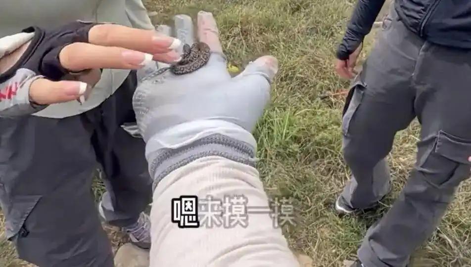 驴友爬山捡到小蛇轮流抚摸？专家：危险又违法！小蛇缠绕在手指间，一群人轮流抚摸