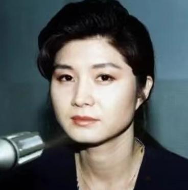 1987年，一名朝鲜特工假扮成日本人，成功策划了一起空难。被捕后，她声称自己是中