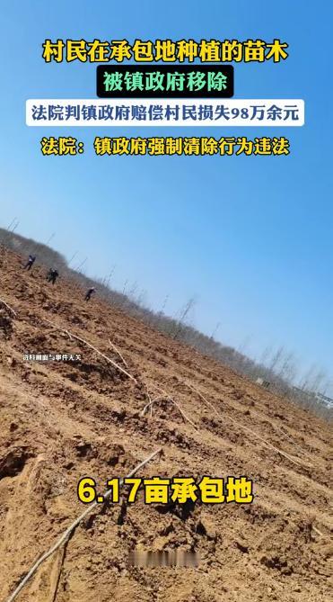 “10年心血，一夜铲平！”江苏常州，47岁农户苦心栽种了10多年的上千株香樟、榉
