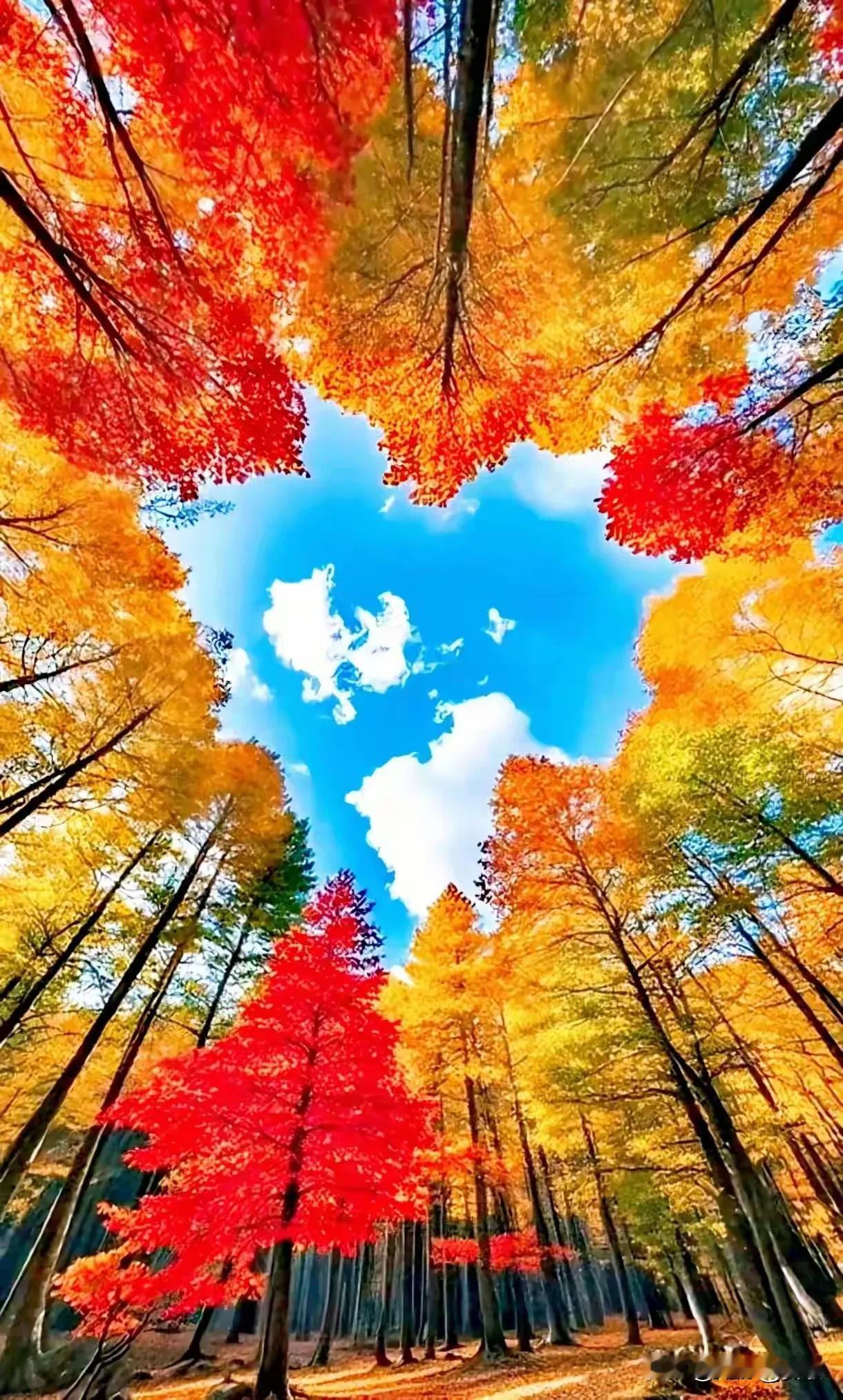 上联:秋风送信千山远下联:寒露凝霜万木潇横批:秋高气爽