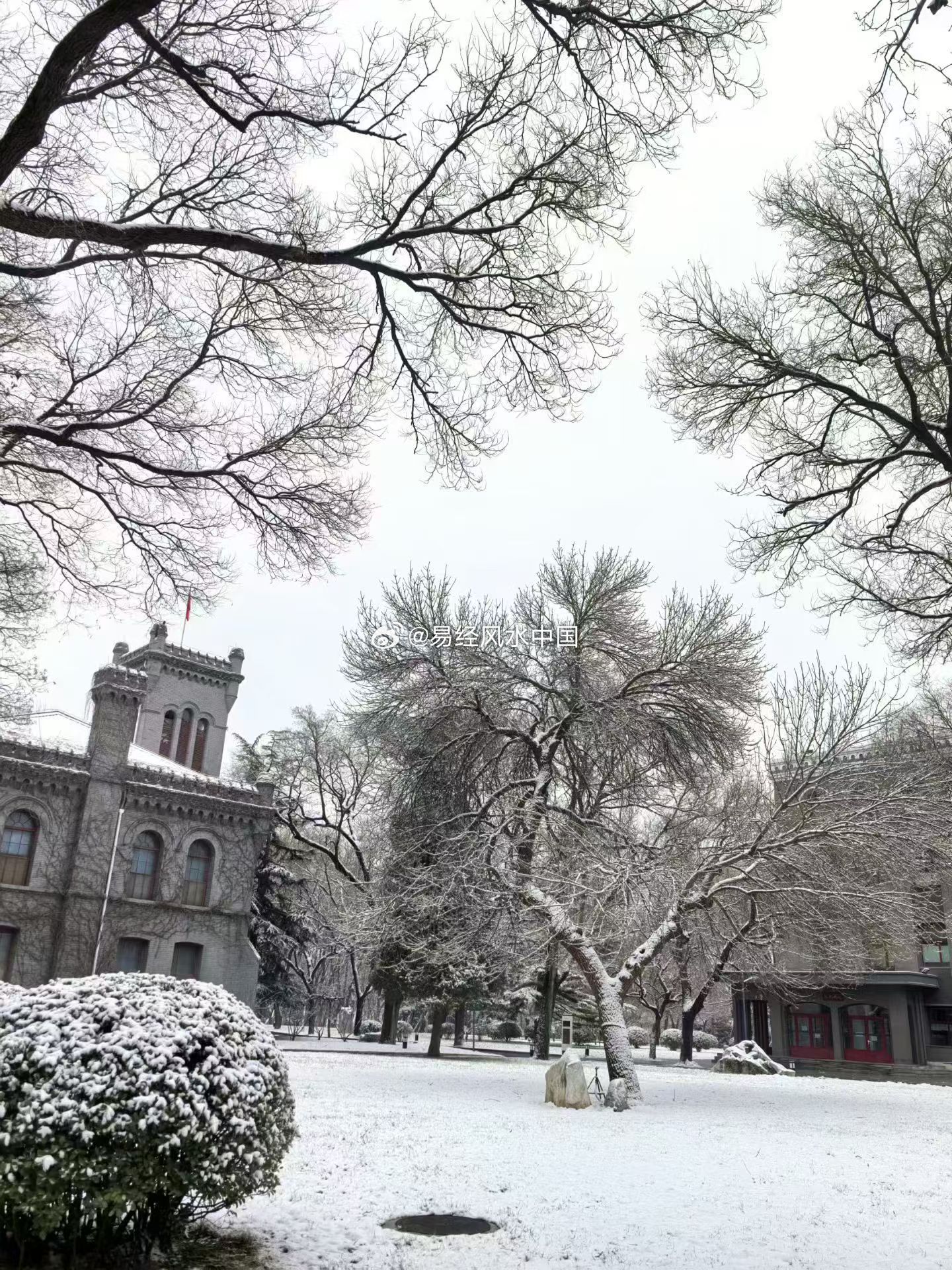 今日老黄历：公历2026年3月5日，星期四，农历正月十七（丙午年庚寅月戊寅日）