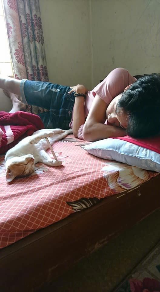 这个手机支架，你们给多少分！！