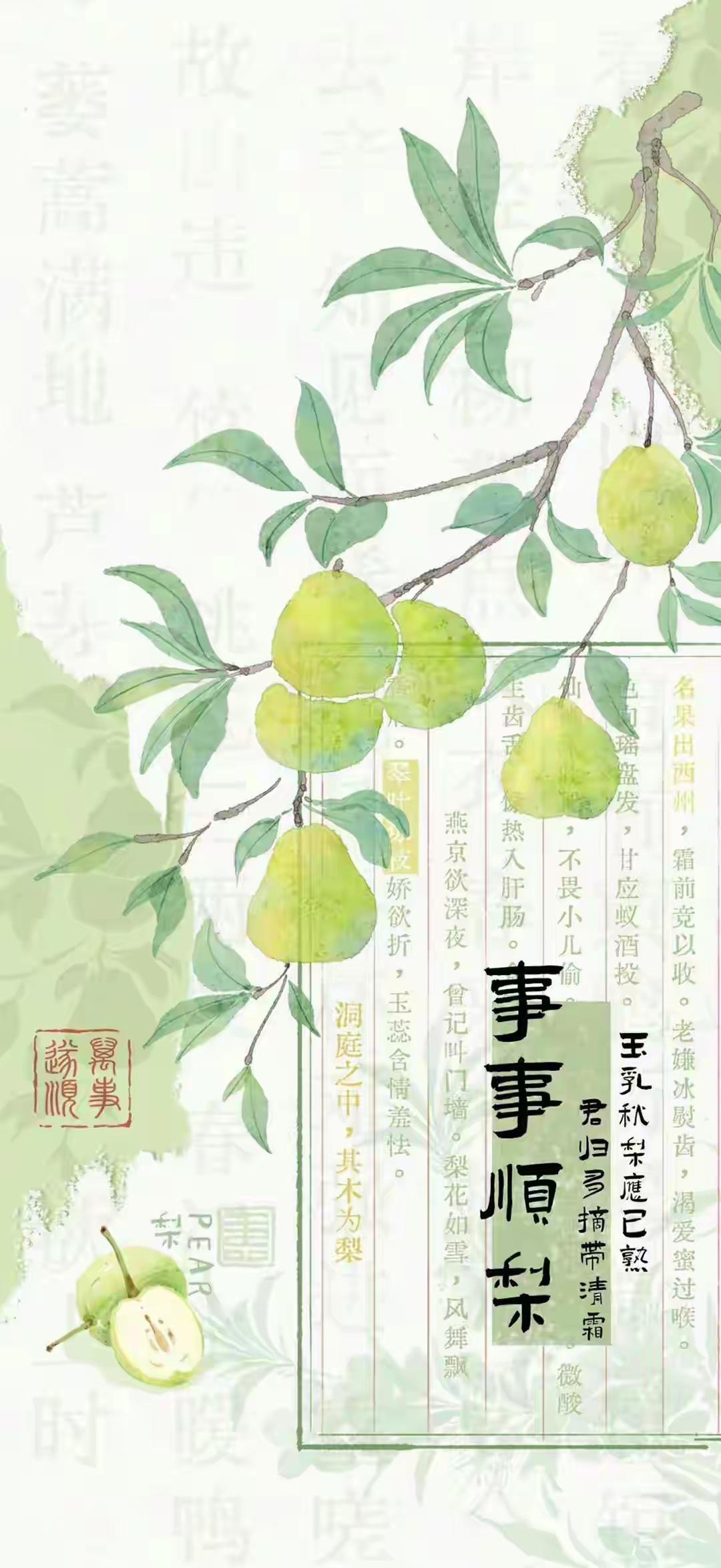 手机壁纸～让我们怀揣一颗如春芽般蓬勃的心，不负韶光，勇敢生长，去创造属于自己的、