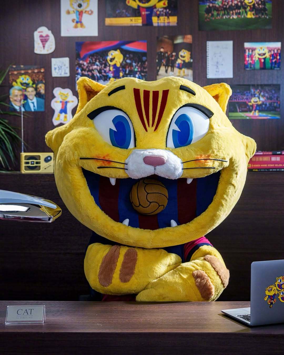 😽国际猫咪日，为咪庆祝🎉🐾不知不觉中咪咪大王已经陪伴culer萨迷245