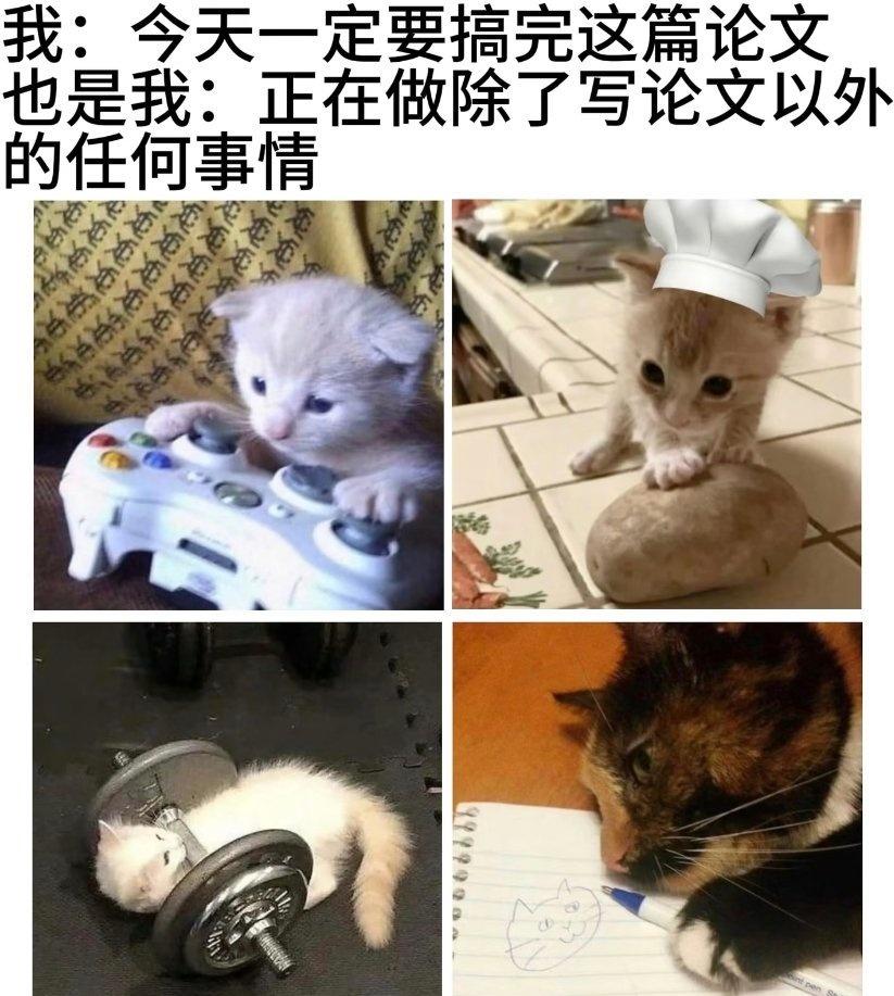 可爱的猫猫梗图分享​​​