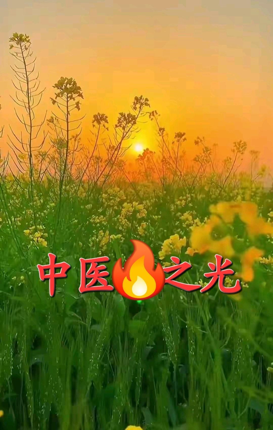 心阳一弱肾就虚透，很多人不知道，补心阳才是补肾的最高段位！很多人调理肾虚总没效果