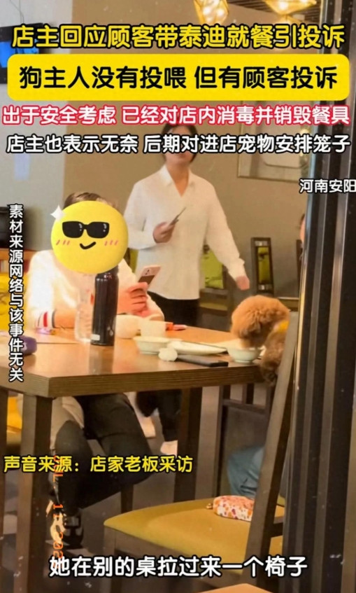 人狗同桌代价高：全店餐具遭销毁！宠物狗坐餐椅，店主含泪买狗笼
