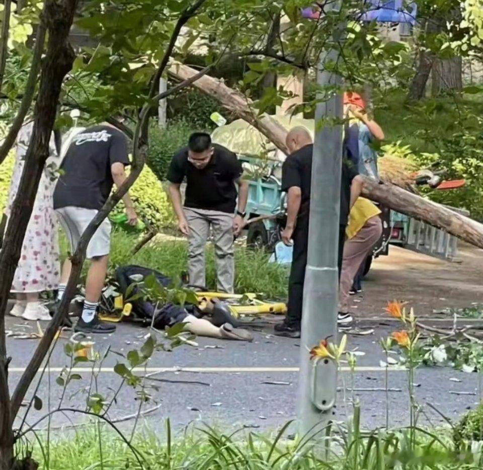 清华回应女教授被树砸身亡万万没想到，这事能发生在清华？？？必须严惩！！怎么会这么