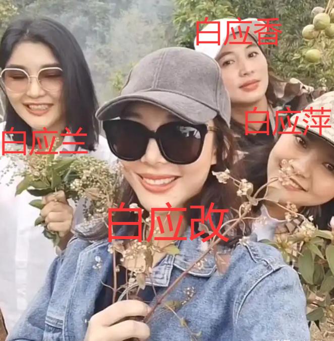 白家四姐妹被全部通缉抓捕！图二里的白应香、白应萍、白应兰、白应改，全部被通缉
