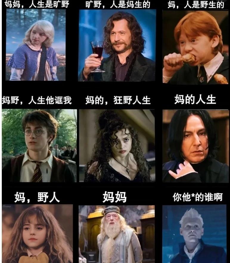 只有哈迷才懂的梗图哈利波特梗图论我的精神状态哈迷