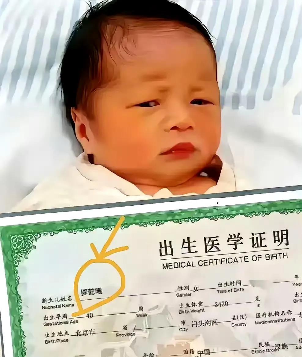 完了！出生即巅峰！宝宝这辈子别想过轻松日子了……注：爨懿曦（音：窜一稀）