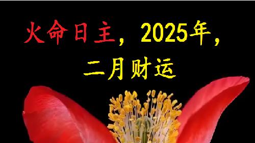 火命日主, 2025乙巳年, (阴历)二月财运