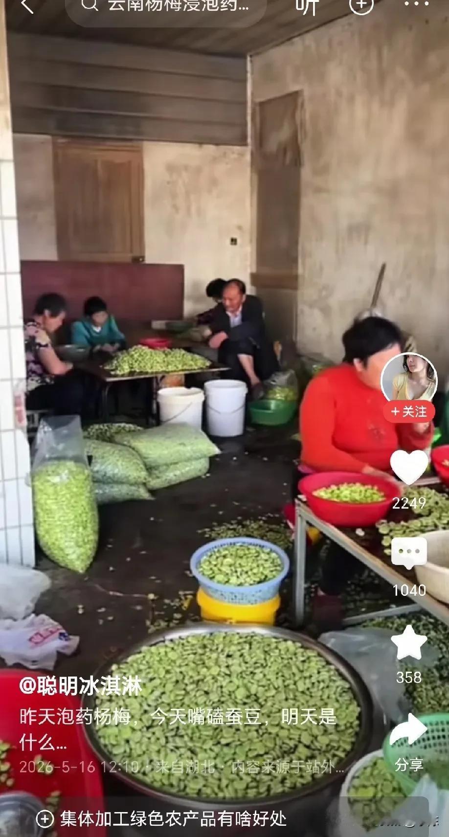 “嘴磕蚕豆！”有网友分享视频，一个蚕豆加工小作坊，大爷大妈围在一起剥蚕豆，蚕豆皮