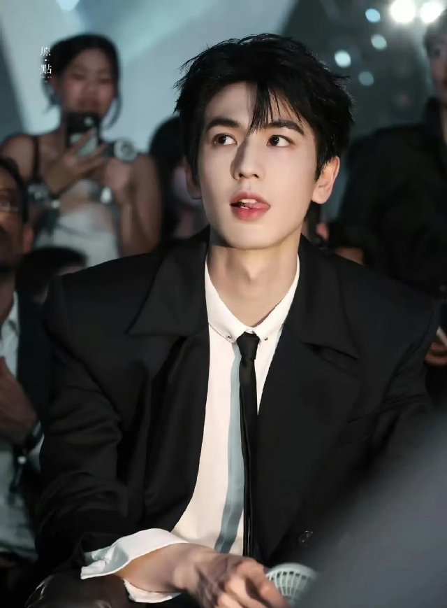 张凌赫现在的处境确实有点不上不下的。今年就两部剧《爱你》和《樱桃琥珀》，口碑都一