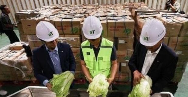 “中国要被我们拖垮了！”2024年，韩国上千人拒绝吃从中国进口的中国白菜，本想给