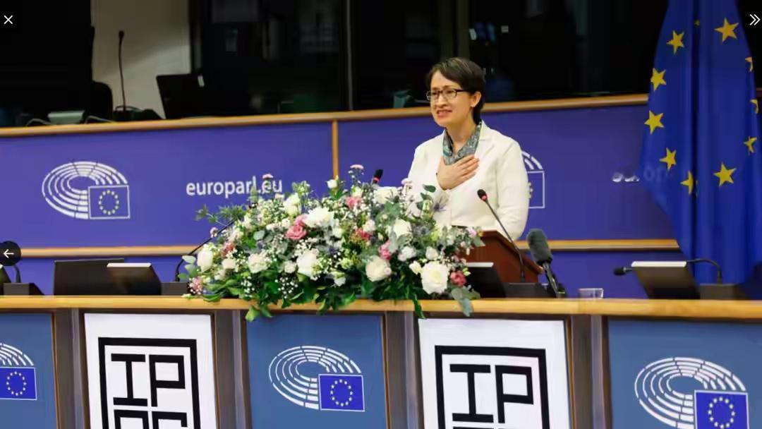 “台湾是一个蓬勃发展的民主国家”，台湾伪当局副领导人萧美琴在欧洲议会叫嚣。这可是