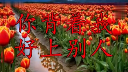 为什幺你背着我爱别人(国)_小志_土豆视频